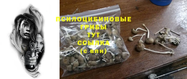 2c-b Армянск
