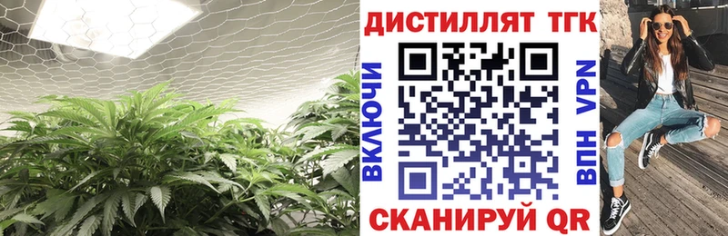 ТГК вейп закладки Рыльск