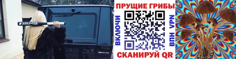 как найти закладки  Рыльск  Псилоцибиновые грибы GOLDEN TEACHER 