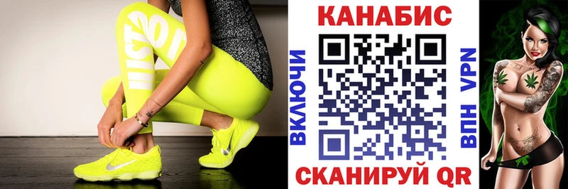 Конопля гибрид  Рыльск 